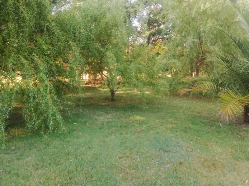 Mi Templo. Piscina privada.